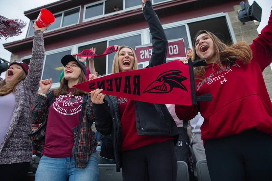 Fans at football game